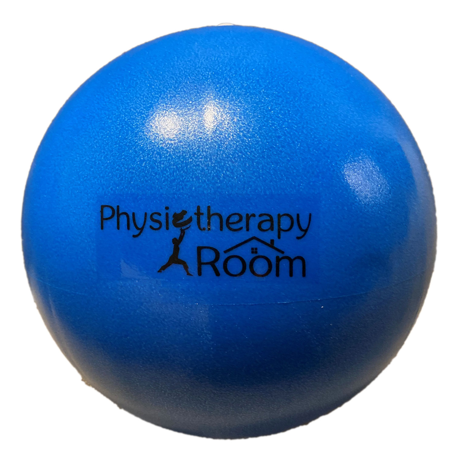 Physiotherapy Room Soft Mini Exercise Ball